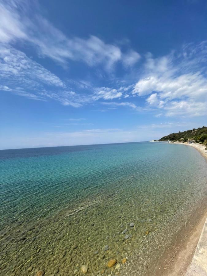 Zoel'S House In Chalkidiki Apartment อาเกีย ปาราสเควิ ภายนอก รูปภาพ