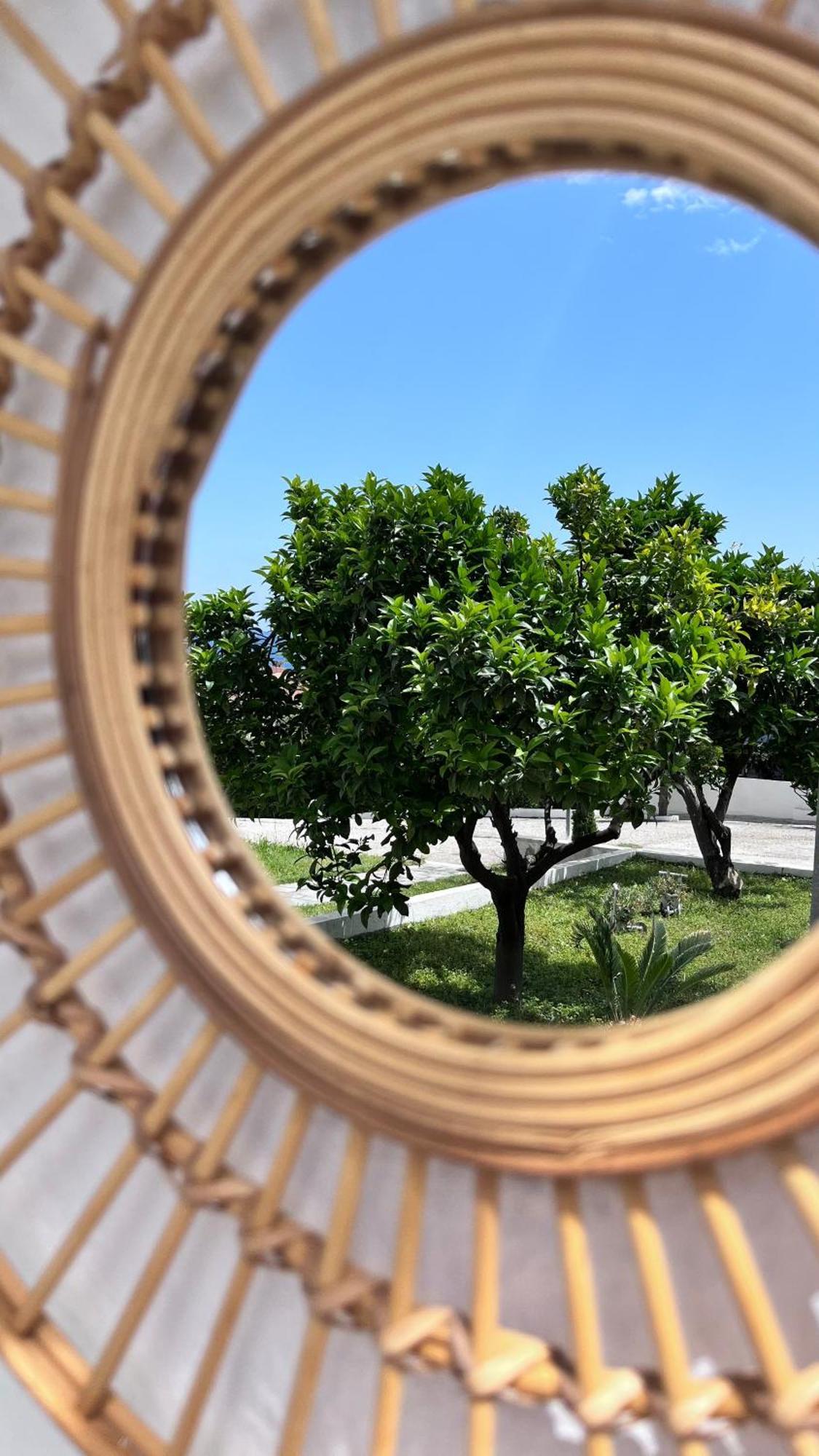 Zoel'S House In Chalkidiki Apartment อาเกีย ปาราสเควิ ภายนอก รูปภาพ